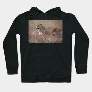 Lion in the Grass, Maasai Mara, Kenya Hoodie